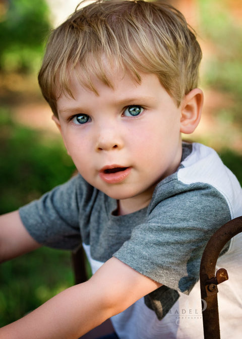 sweet country boy {south carolina child photographer} - Madeline ...